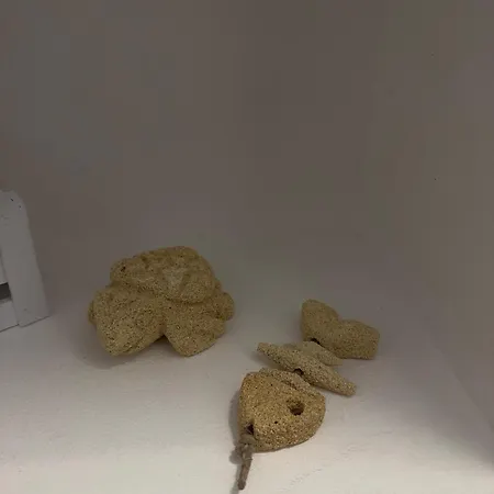 Lägenhet Il Nido